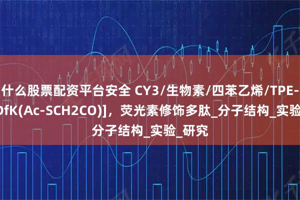 什么股票配资平台安全 CY3/生物素/四苯乙烯/TPE-c[RGDfK(Ac-SCH2CO)]，荧光素修饰多肽_分子结构_实验_研究